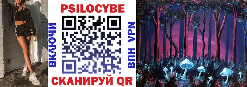 Купить  Судогда  Псилоцибиновые грибы Psilocybine cubensis 